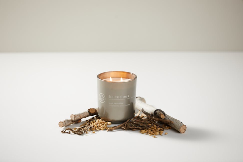 chesapeake bay candle intentions collection be curious black birch cedar medium two wick jar candle surrounded by sticks on a table