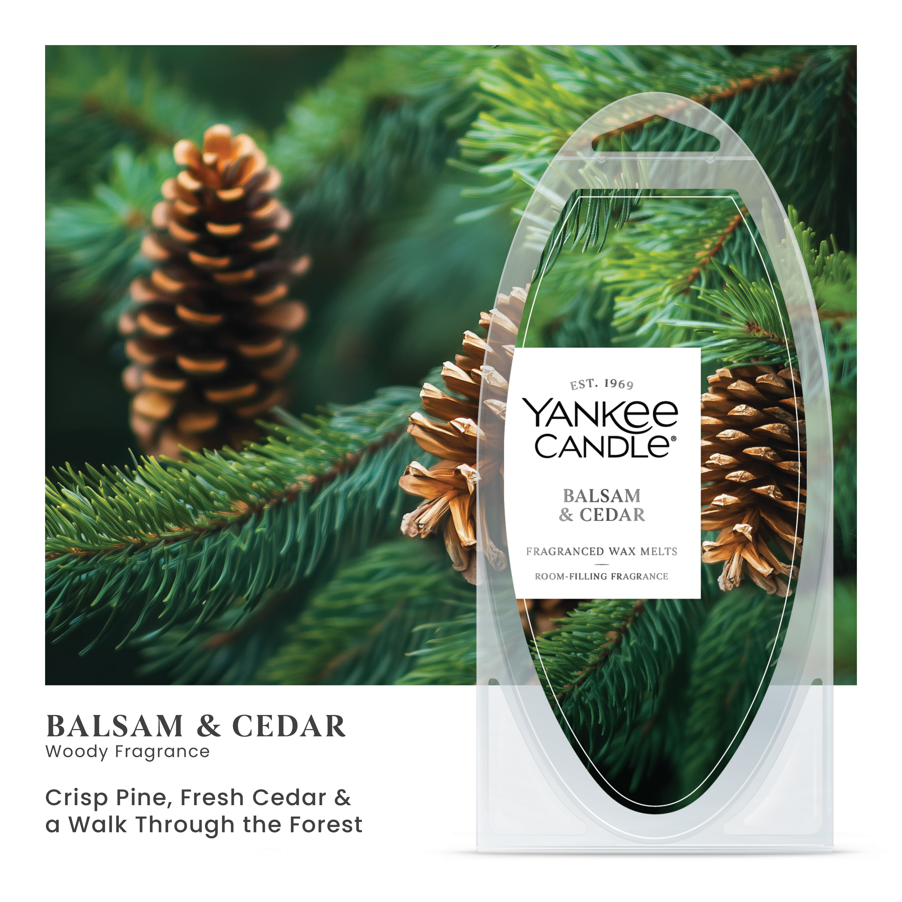 Yankee Candle Wax Melts Balsam and Cedar Tart