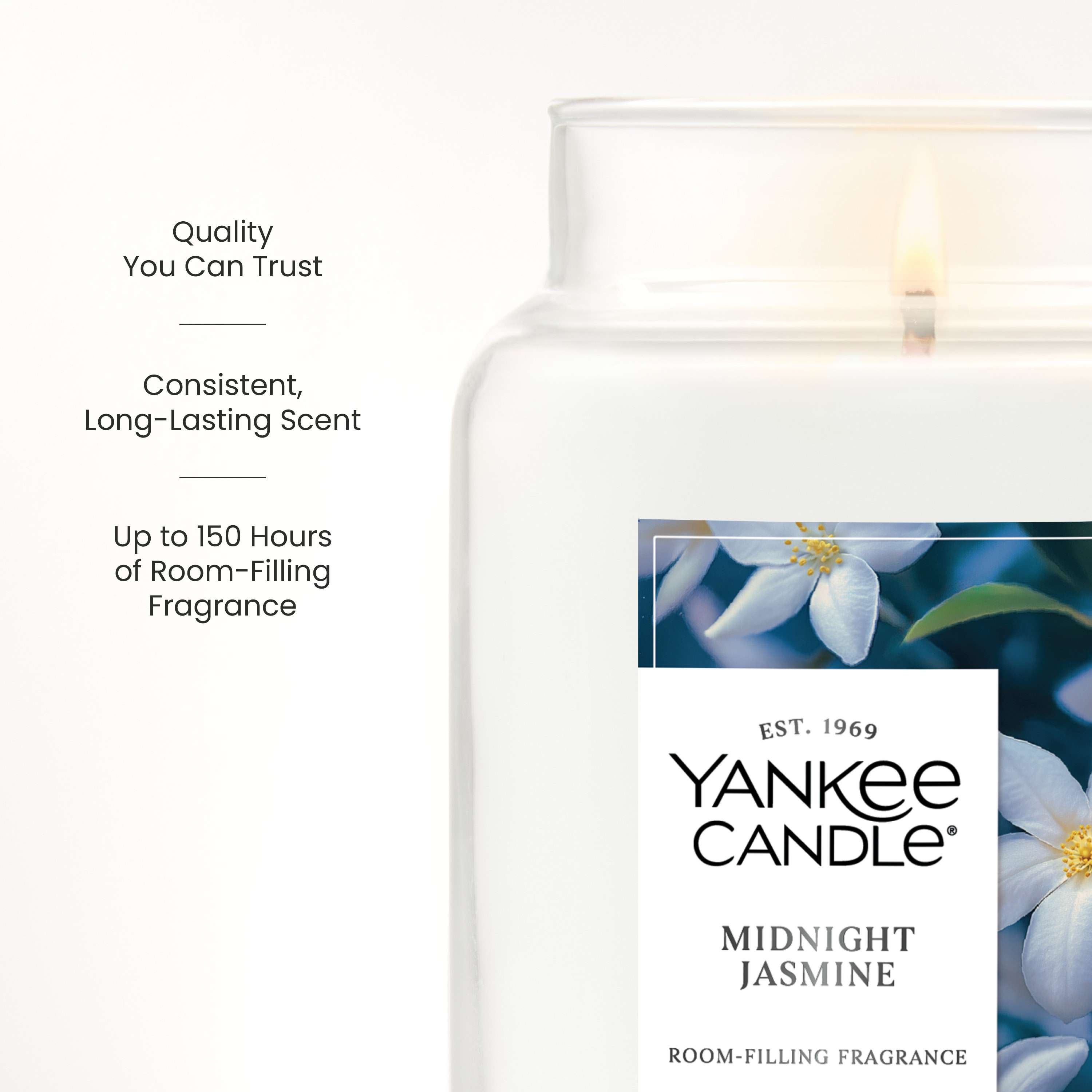 Midnight Jasmine - Thumbnail 5