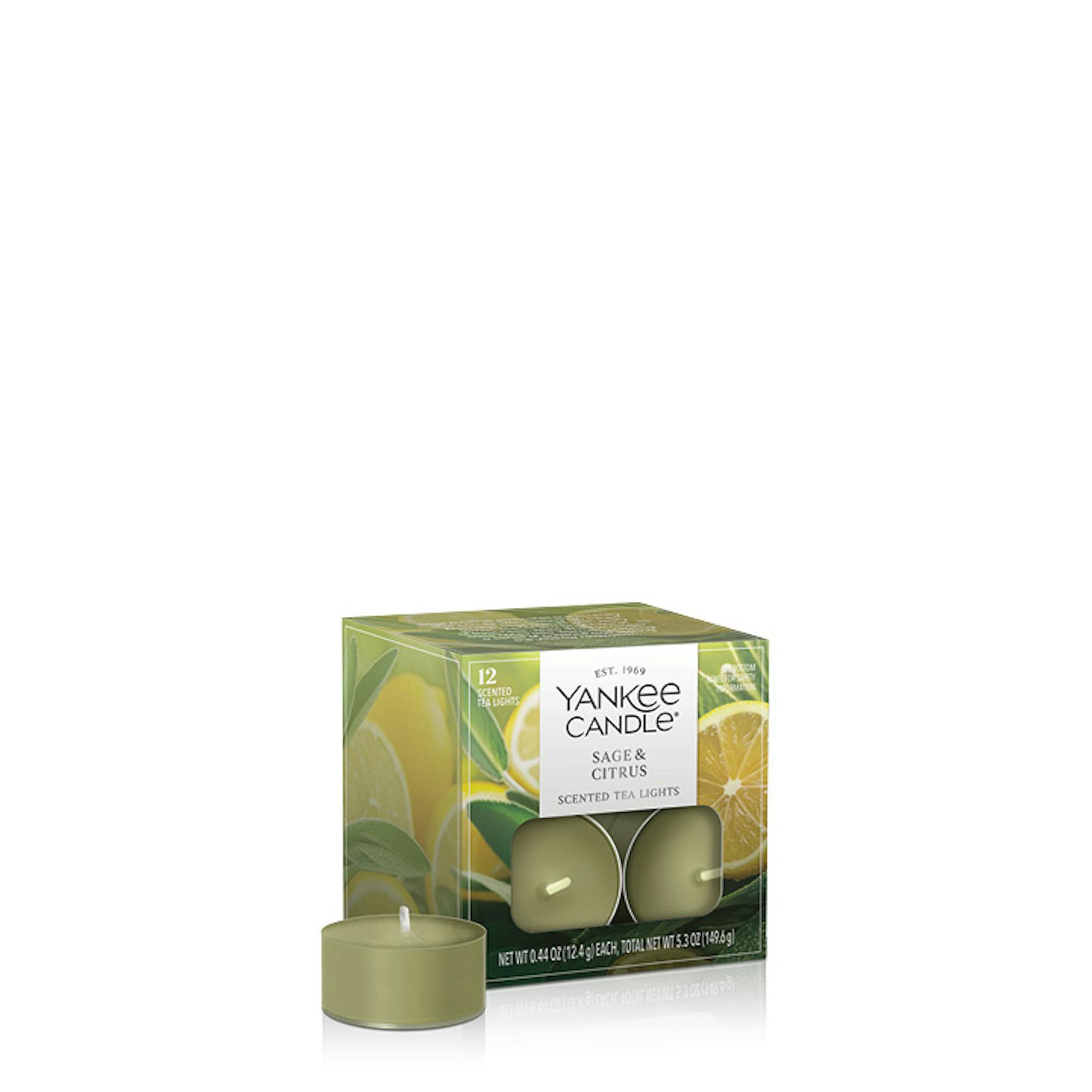 Yankee Candle Sage And Citrus Tea Light Candles, 0.44 oz Each In Green