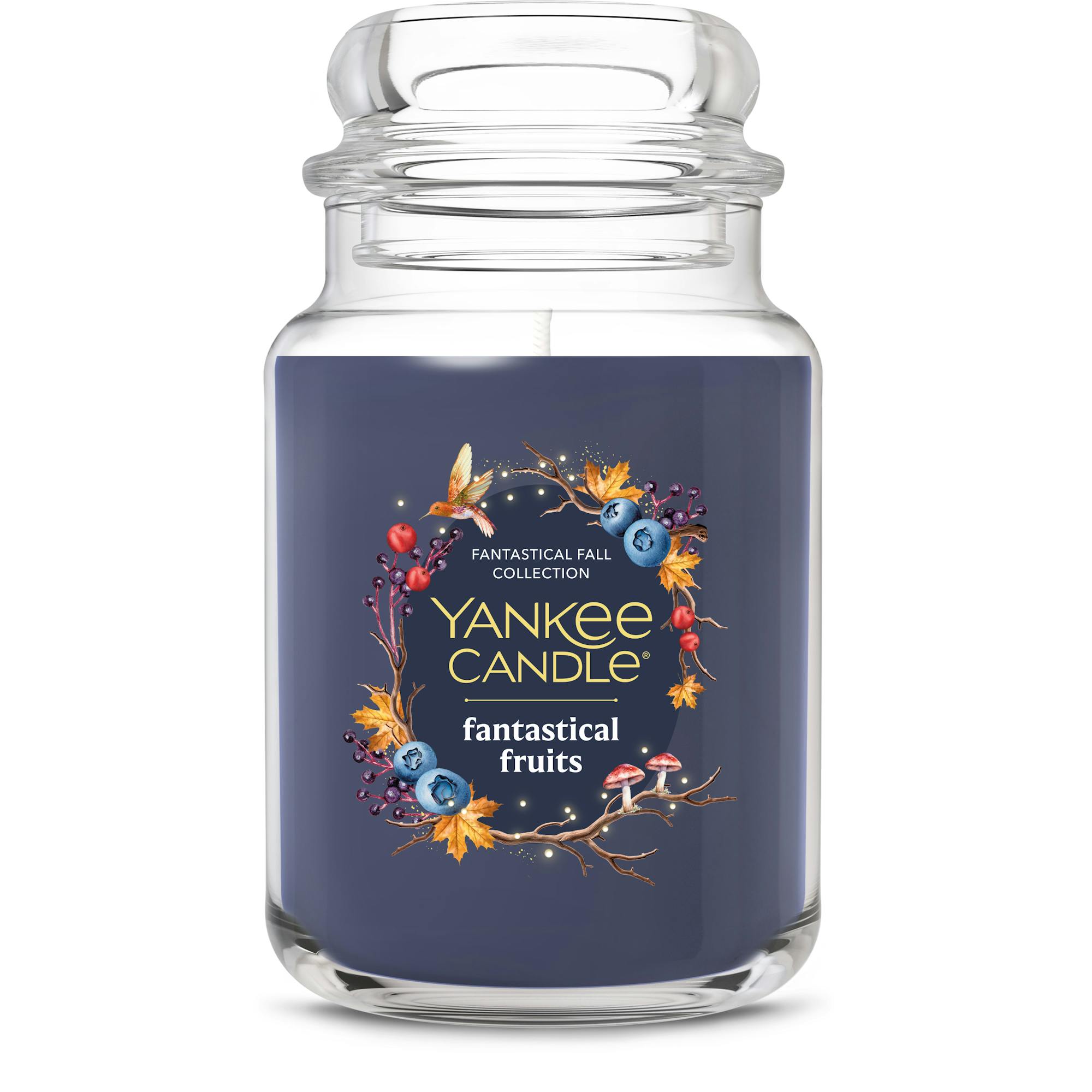 Yankee Candle Fantastical Fruits Original Large Jar Candles, 22 oz In Blue