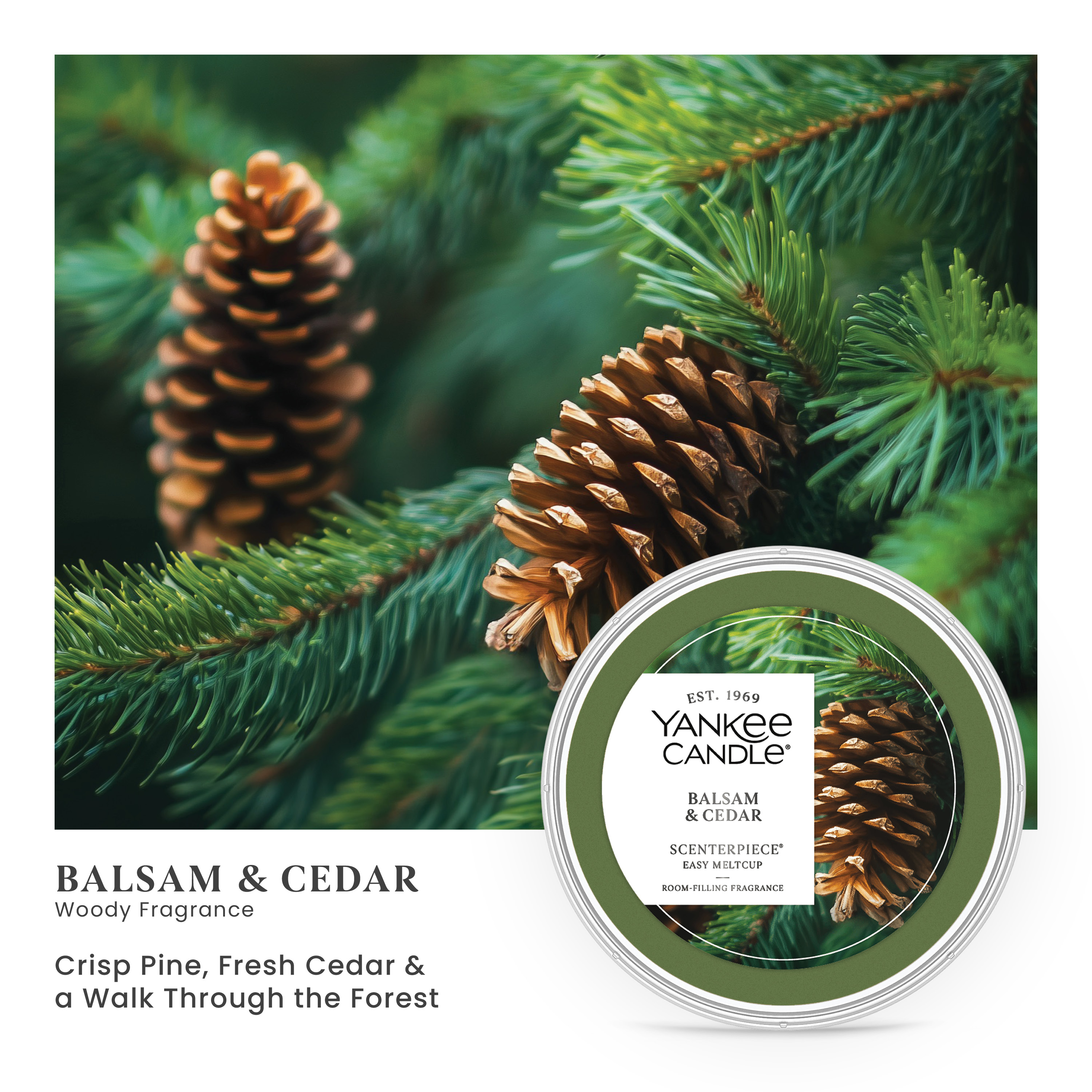 Yankee Candle Balsam Cedar Scenterpiece Easy MeltCup - Thumbnail 3