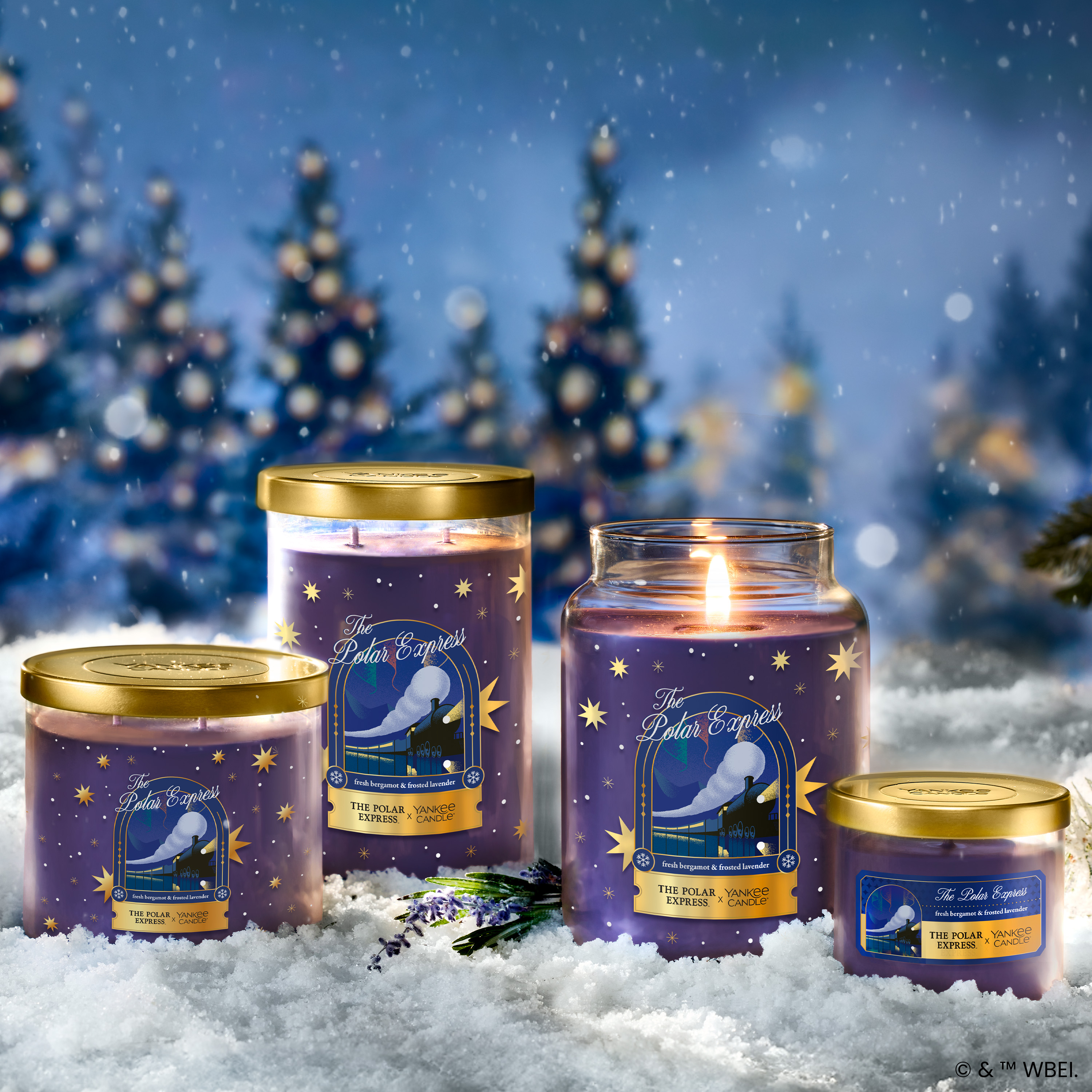 The Polar Express - Thumbnail 2