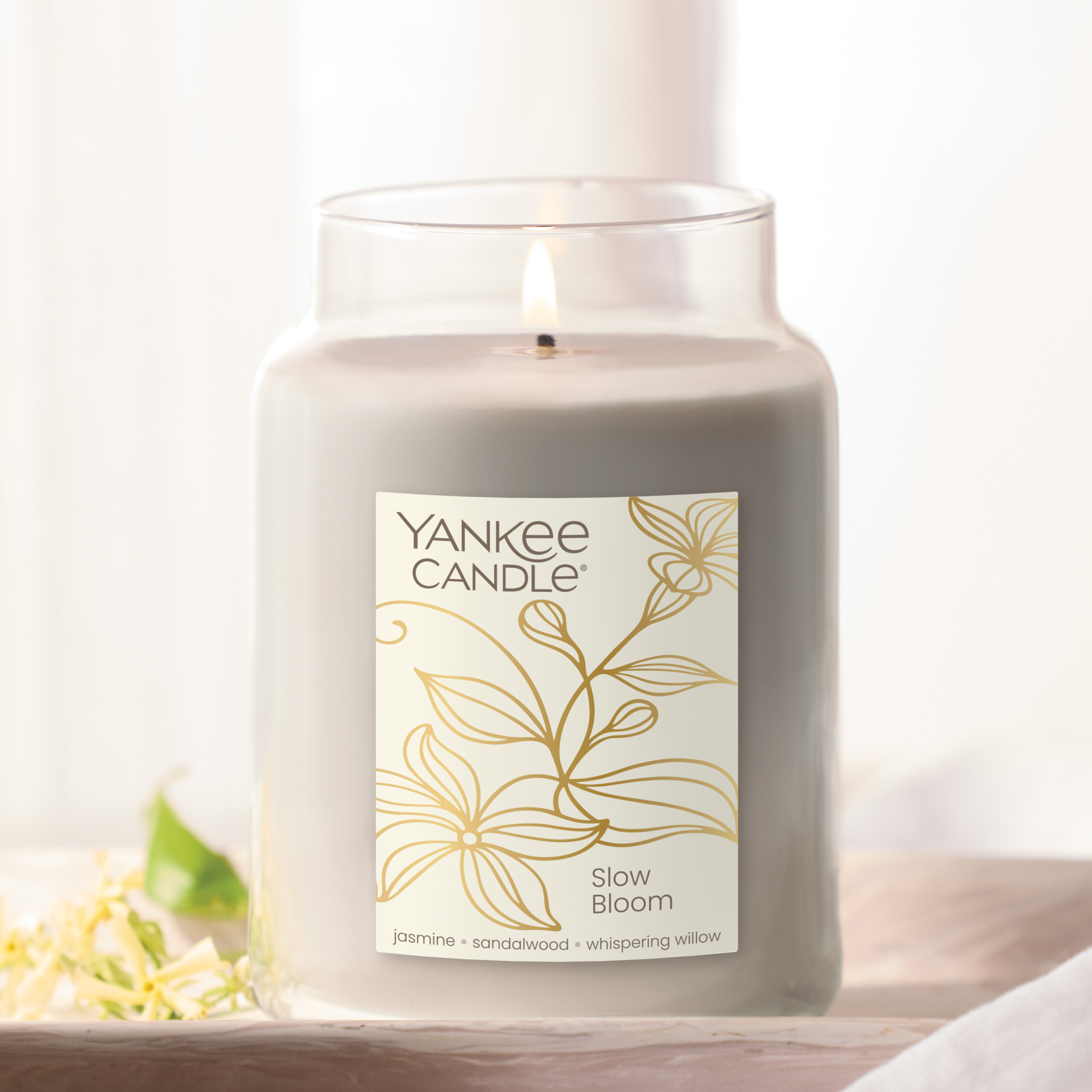 Slow Bloom - Thumbnail 2