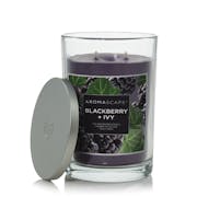 chesapeake bay candle aromascape collection blackberry and ivy large tumbler candle