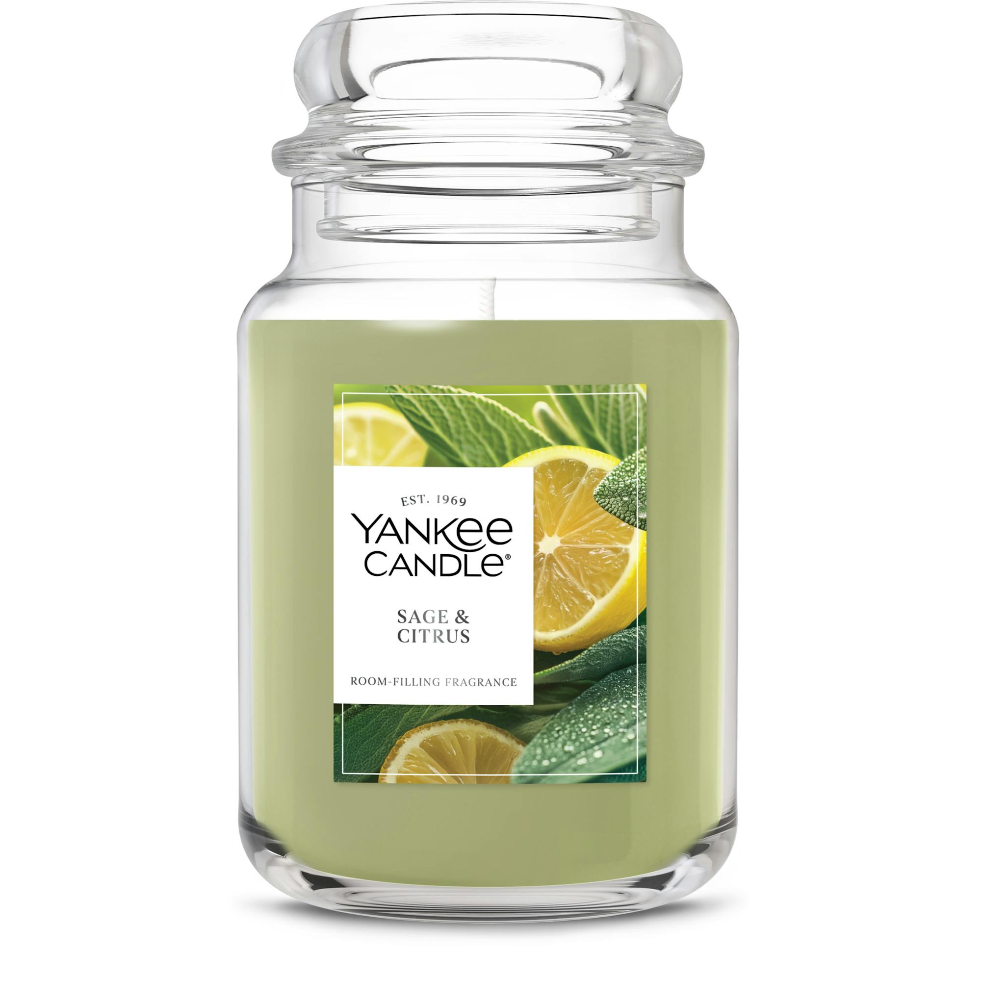 Yankee Candle Sage And Citrus Original Large Jar Candles, 22 oz In Green