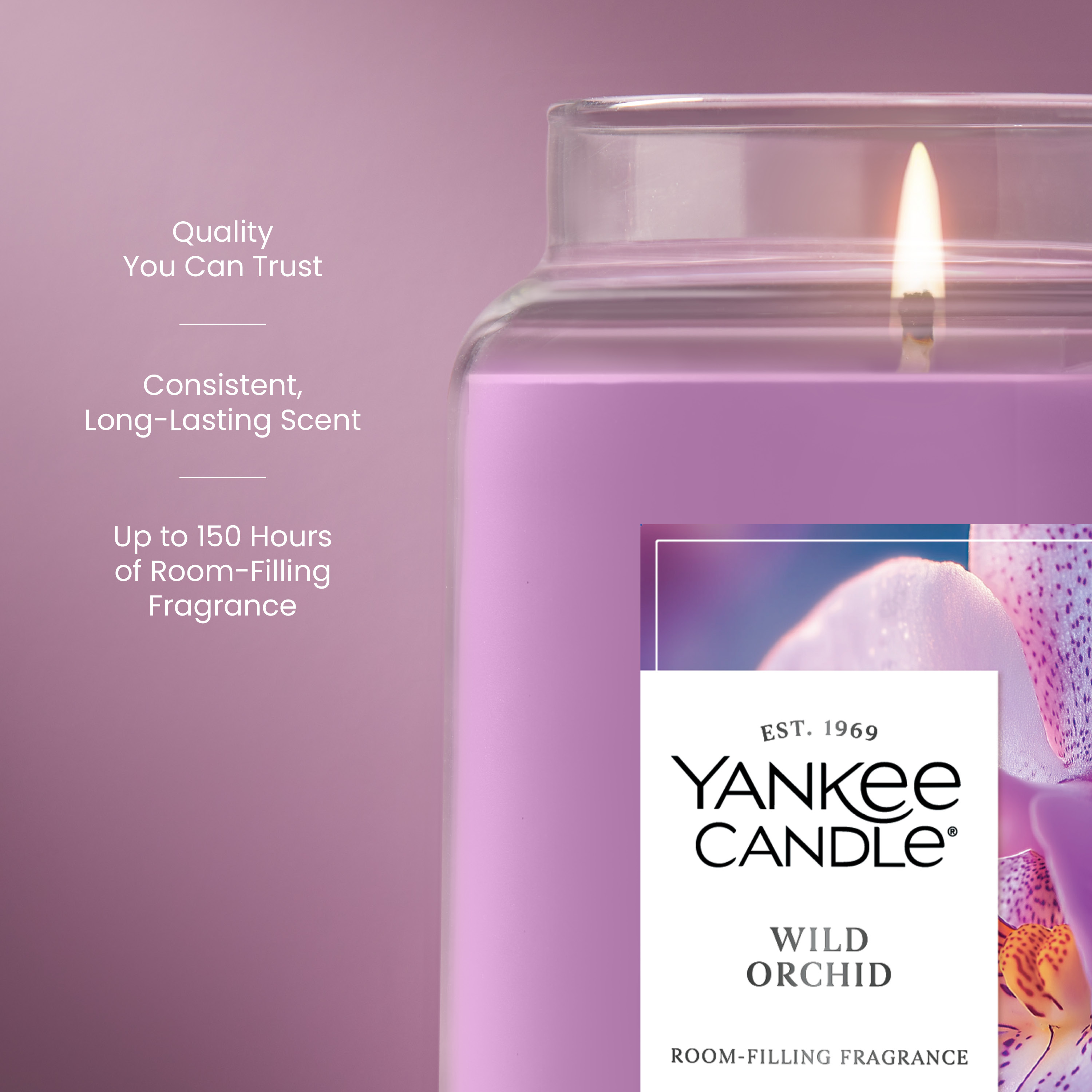 Wild Orchid Original Large Jar Candle