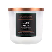 blue mint medium 2 wick tumbler candle