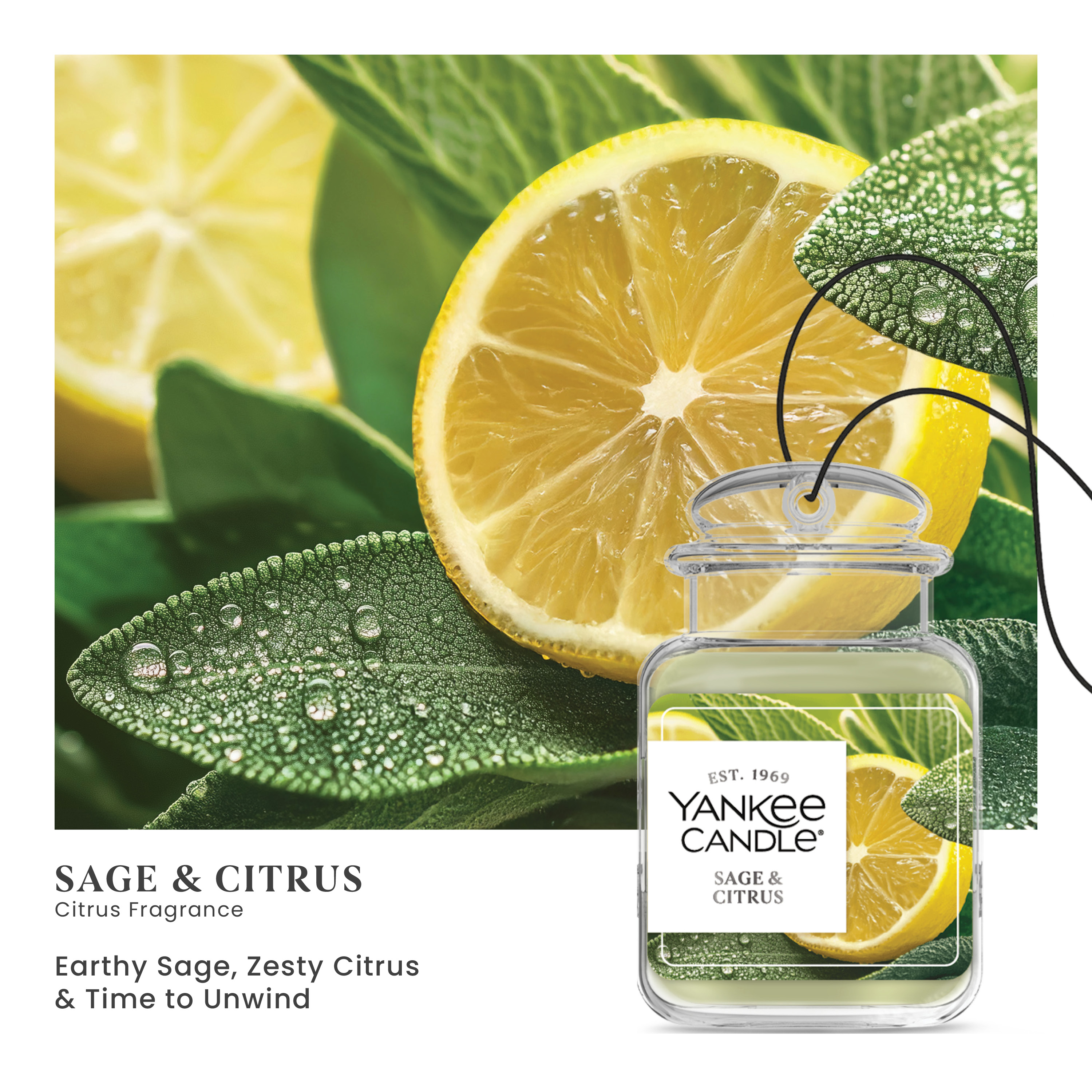 Top Fragrances: Sage & Citrus Collection | Yankee Candle