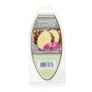pineapple cilantro wax melts 6 packs