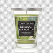 Chesapeake Bay Candle® Aromascape® Collection Bamboo + Eucalyptus Medium Jar Candle