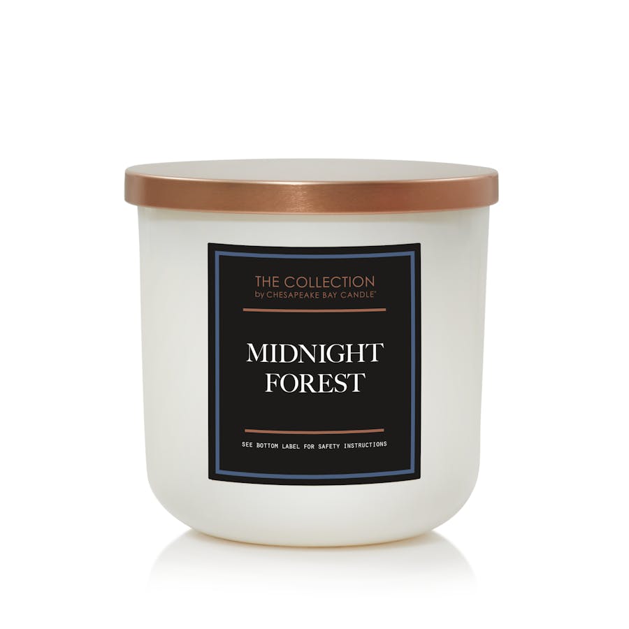 Midnight Forest