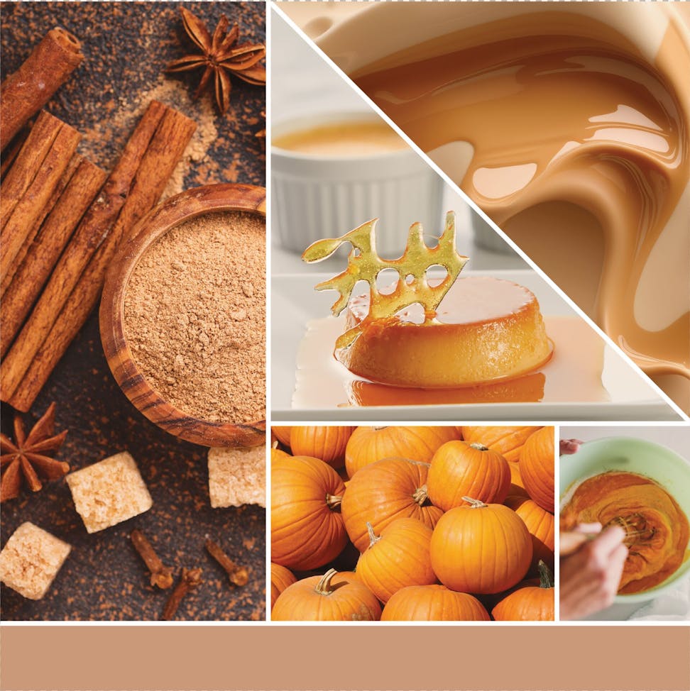 a fragrance in 2D image with photos of cinnamon sticks, pumpkins, and caramel