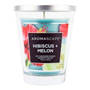 hibiscus melon medium jar candle
