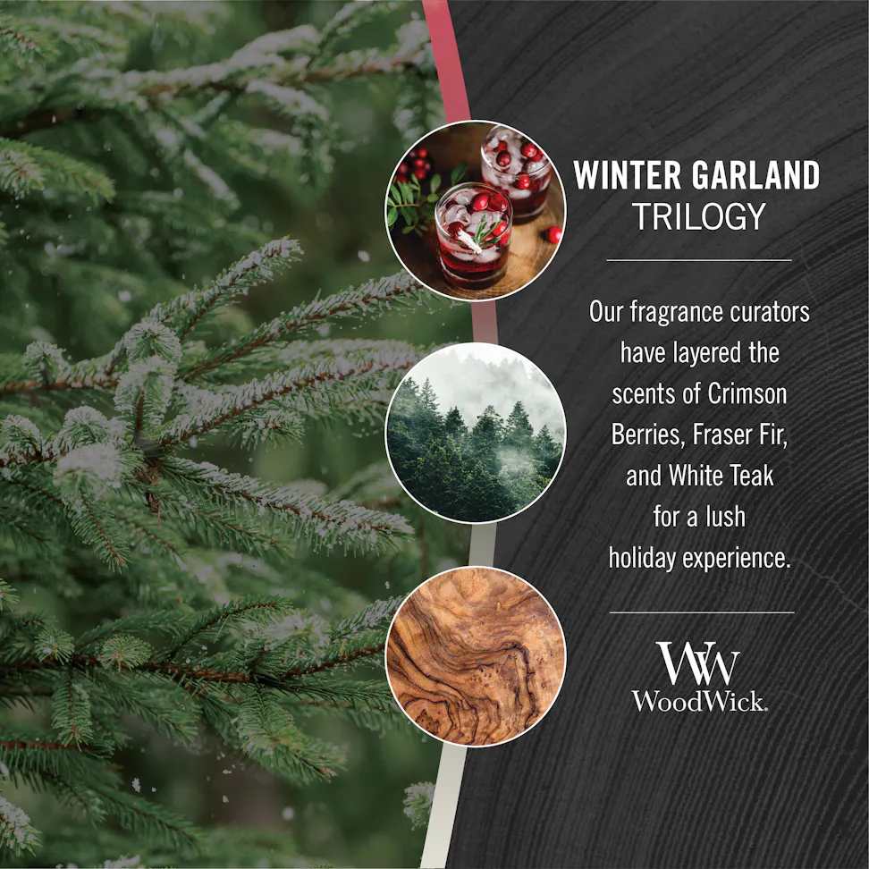 photo collage illustrating woodwick winter garland trilogy fragrances of crimson berries, frasier fir, and white teak