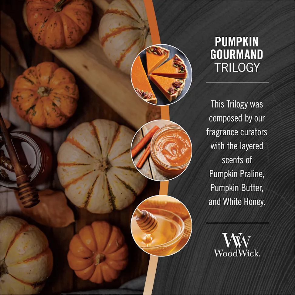 woodwick pumpkin gourmand trilogy fragrance in 2d photo collage with text that reads, this trilogy was composed by our fragrance curators with the layered scents of pumpkin praline, pumpkin butter, and white honey