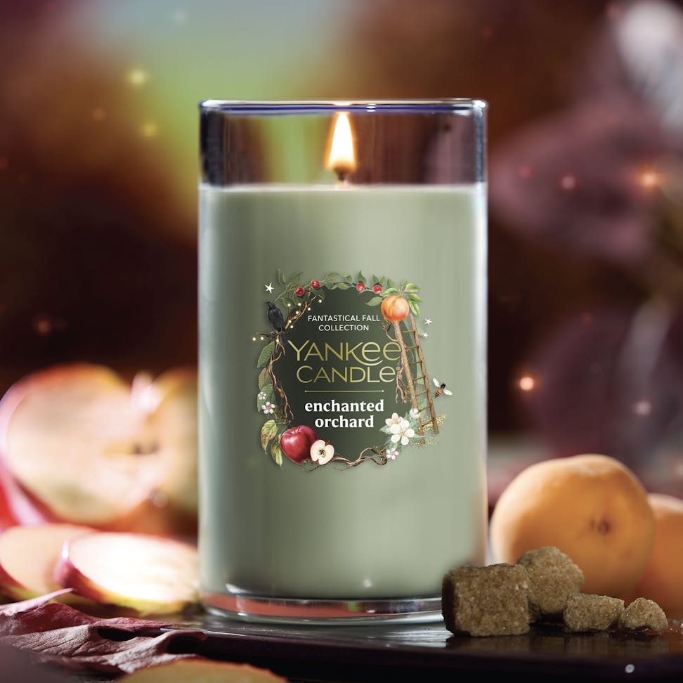 https://yankeecandle.imgix.net/aee9d5a8-30c1-3fd1-bc71-bc6b05b429e1/aee9d5a8-30c1-3fd1-bc71-bc6b05b429e1.jpg