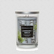 Chesapeake Bay Candle® Aromascape® Collection Lakeside + Birch Large Jar Candle