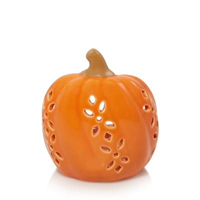 Pumpkins Orange