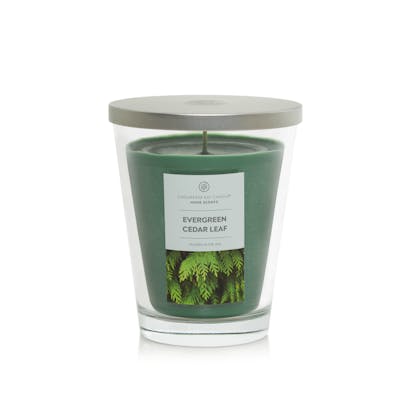 Evergreen Cedar Leaf