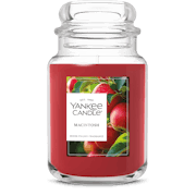 Macintosh