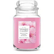 Enchanting Cherry Blossoms