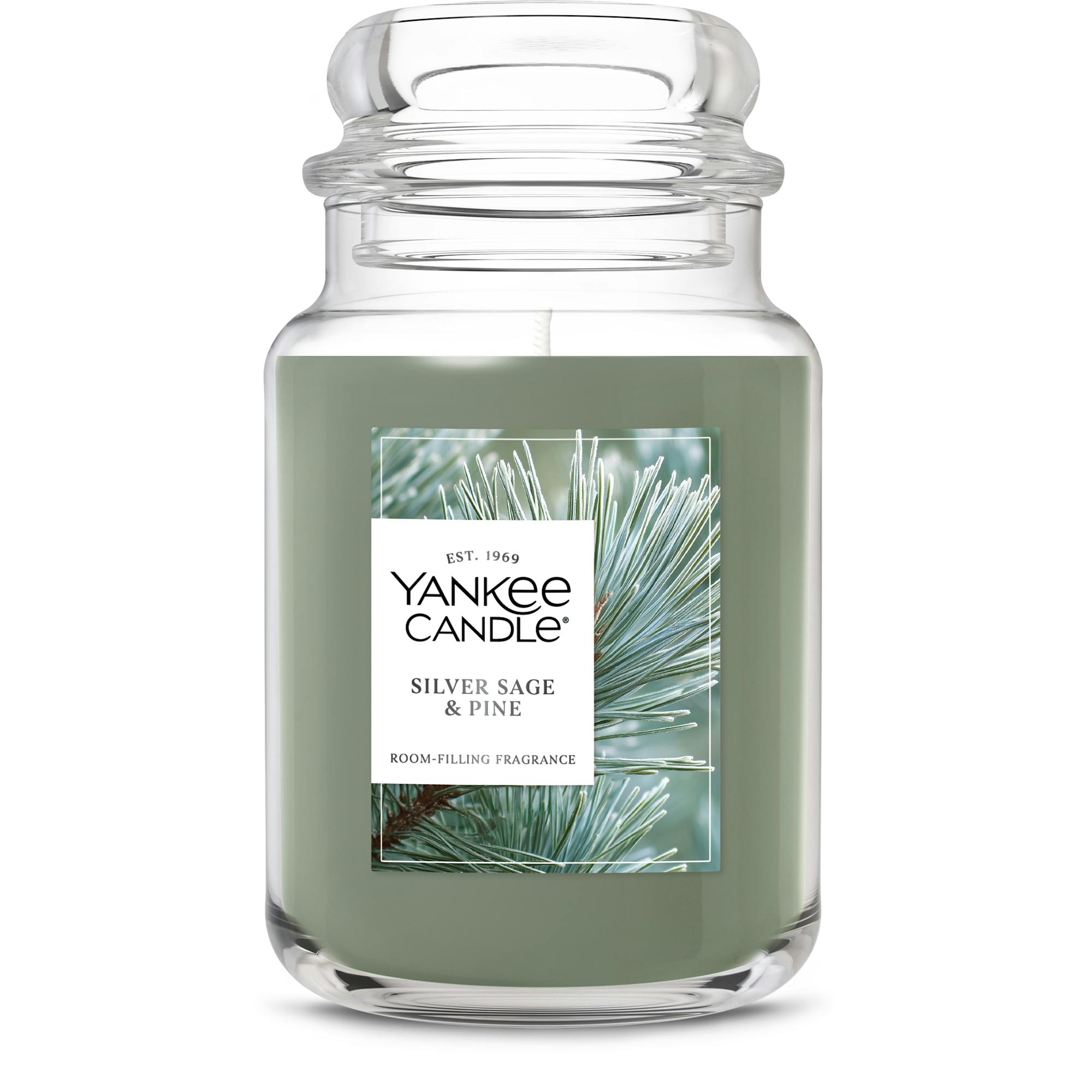 Yankee Candle Silver Sage And Pine Original Large Jar Candles, 22 oz In Green