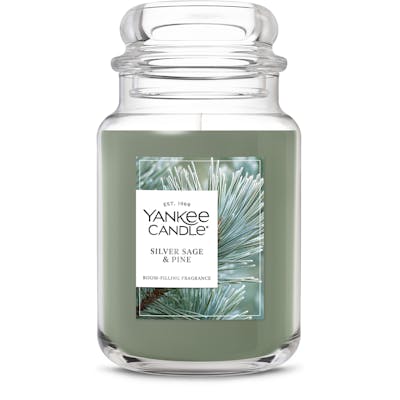 Silver Sage & Pine