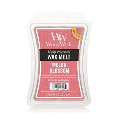 Melon Blossom