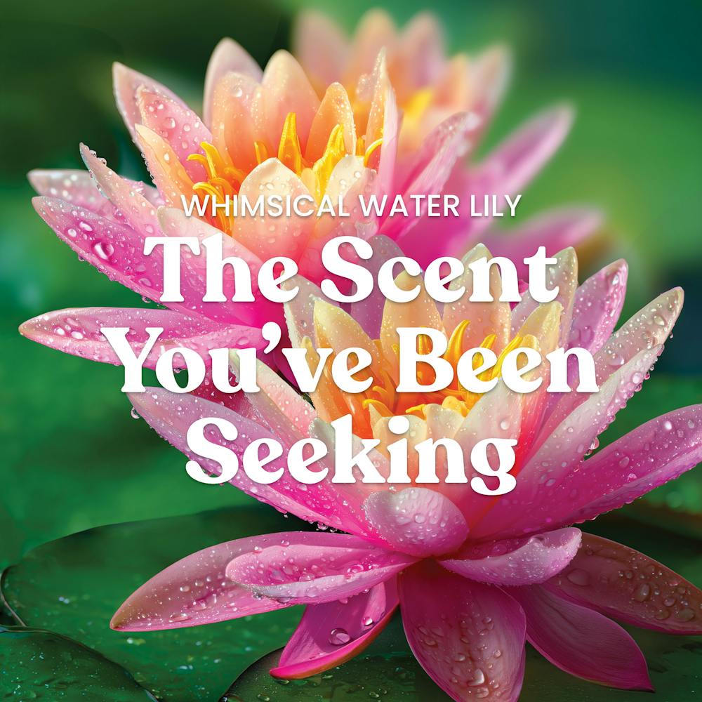 Whimsical Water Lily