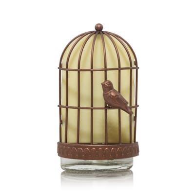 Uncaged Bird with Light