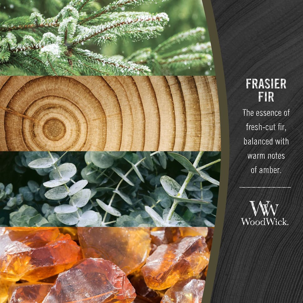 frasier fir the essence of fresh-cut fir balanced with warm notes of amber with fir tree, wood, eucalyptus, and amber images