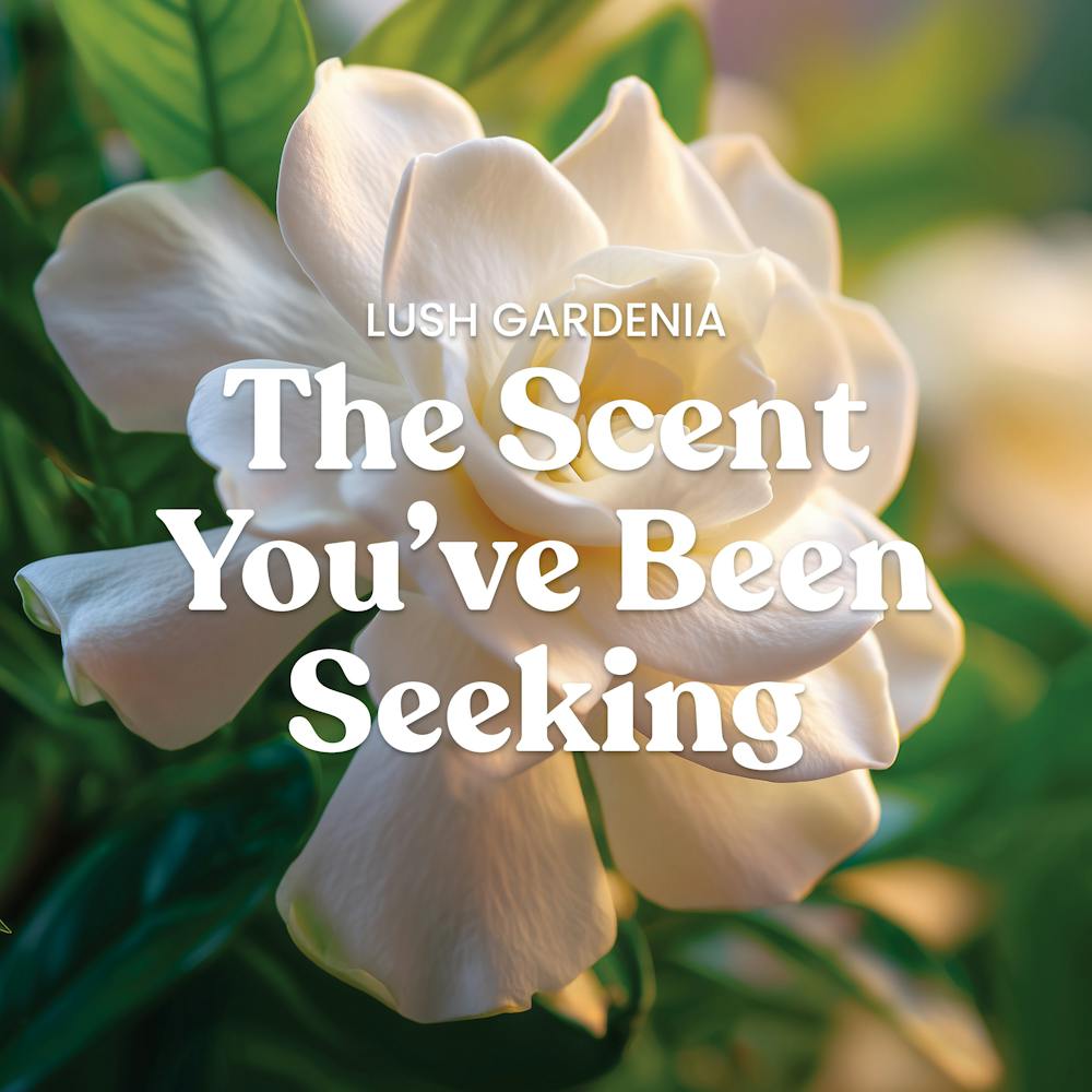 Lush Gardenia
