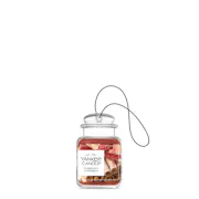 Sparkling Cinnamon