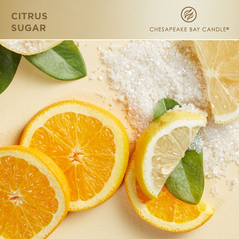 chesapeake bay candle citrus sugar fragrance in 2D