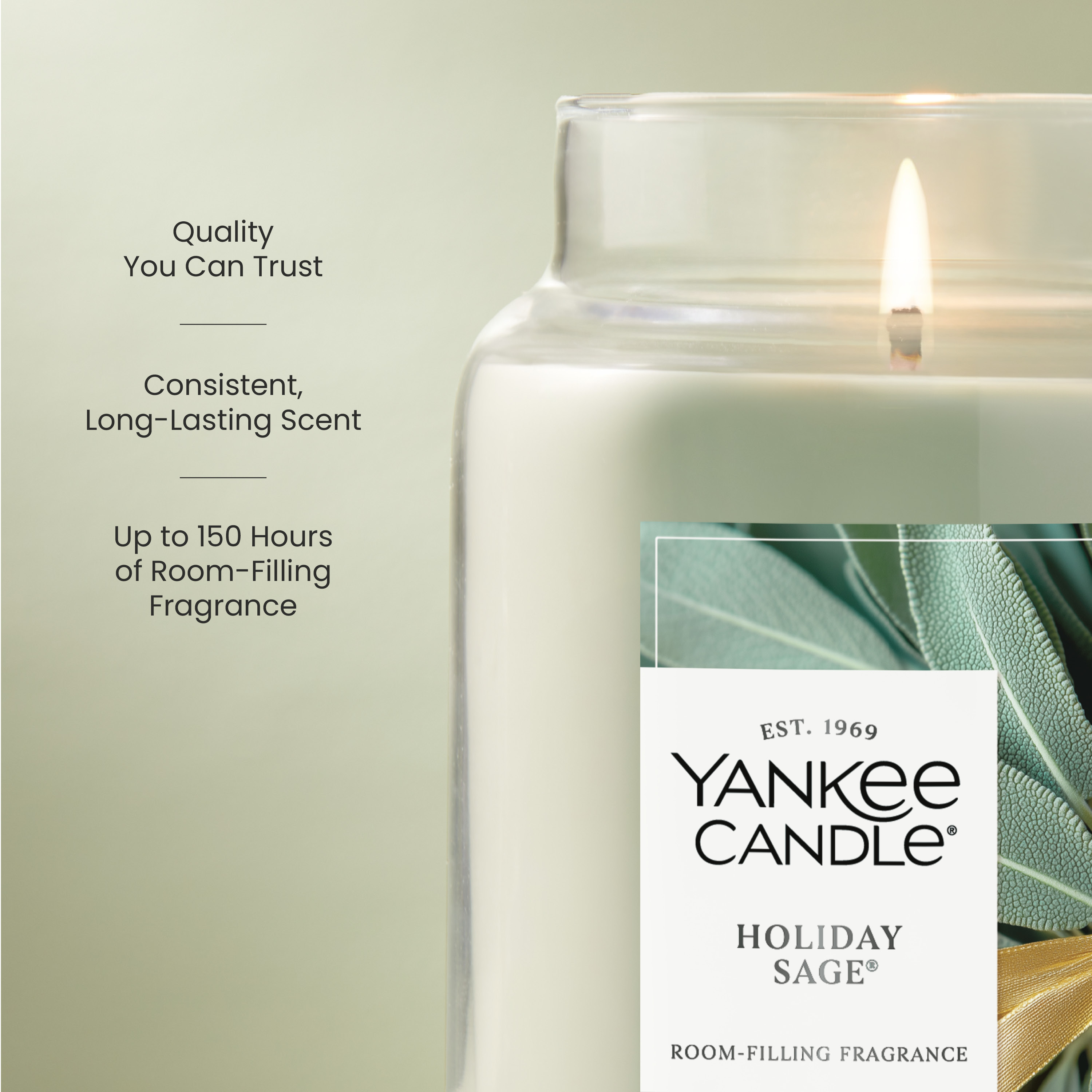 Holiday Sage - Thumbnail 3