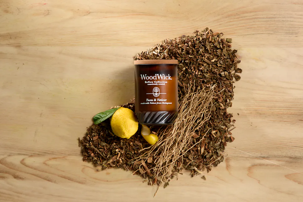 WoodWick ReNew Collection Yuzu & Vetiver Large Candle on a pile of dried plants next to a lemon