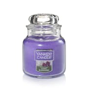 lilac blossoms small jar candles