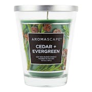 Chesapeake Bay Candle® Aromascape® Cedar + Evergreen Medium Jar Candle