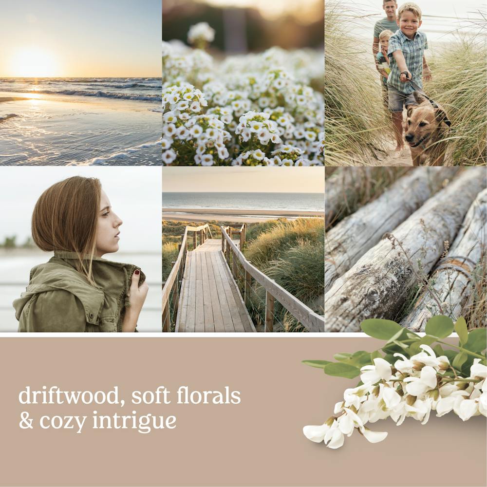 Seaside Woods