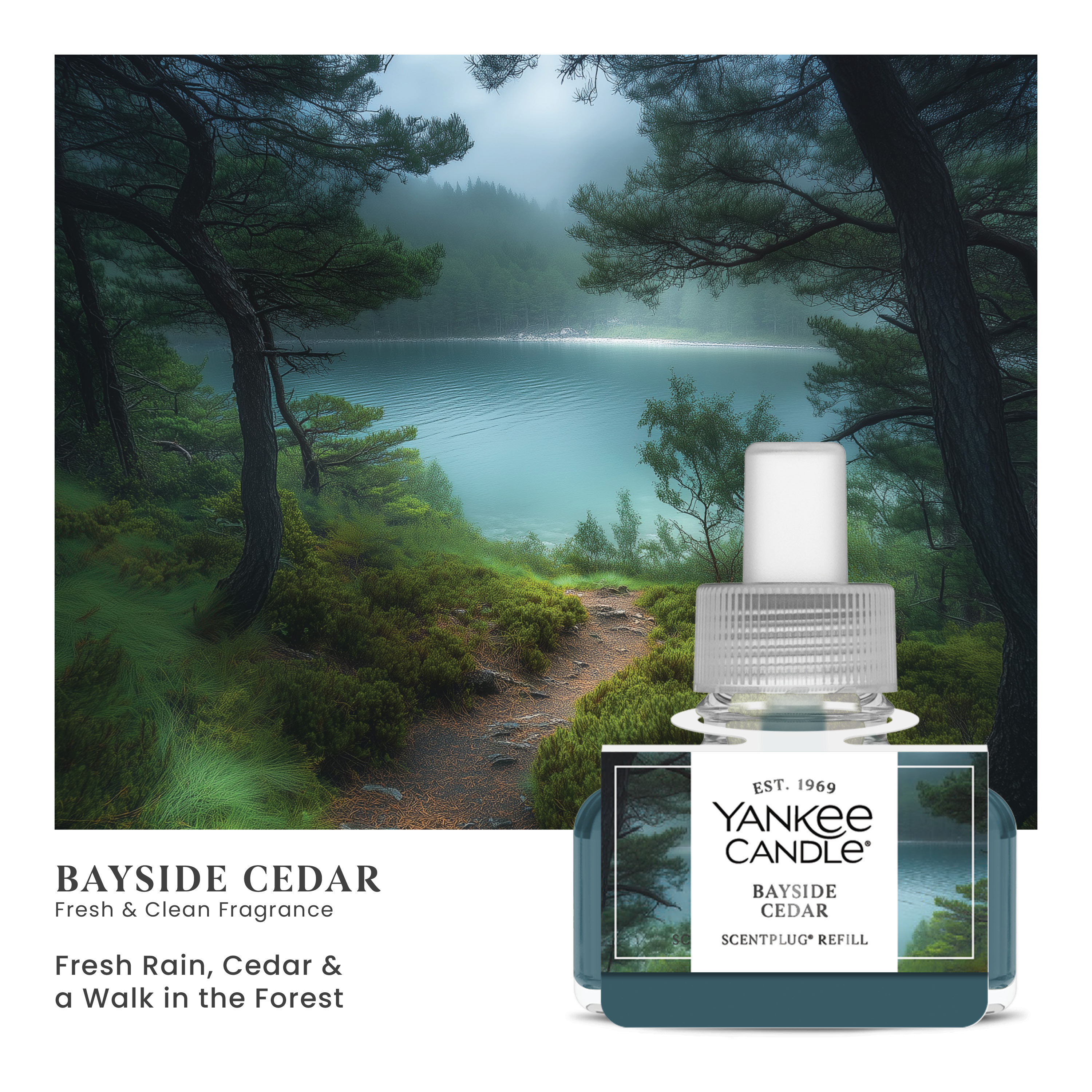 Bayside Cedar | Yankee Candle