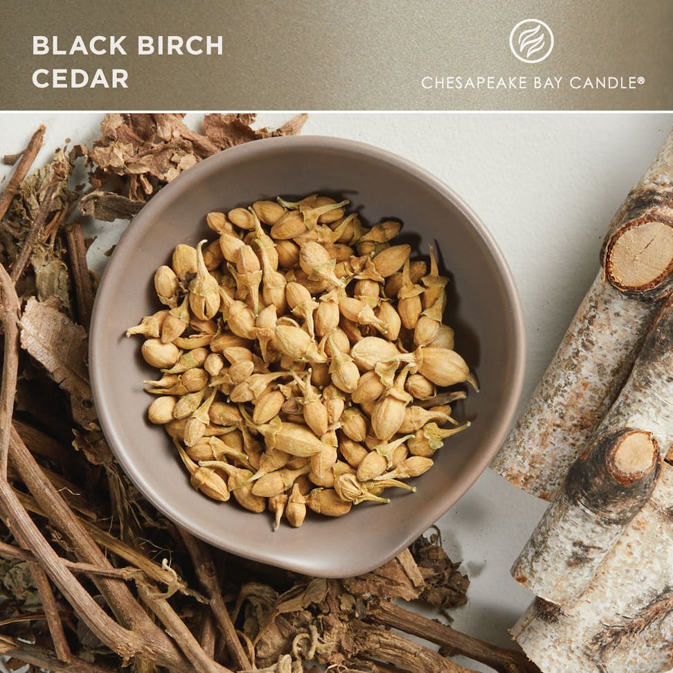 chesapeake bay candle black birch cedar fragrance in 2D