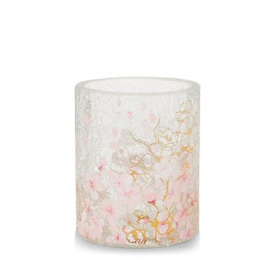 Cherry Blossoms