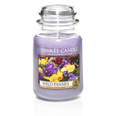 Wild Pansies