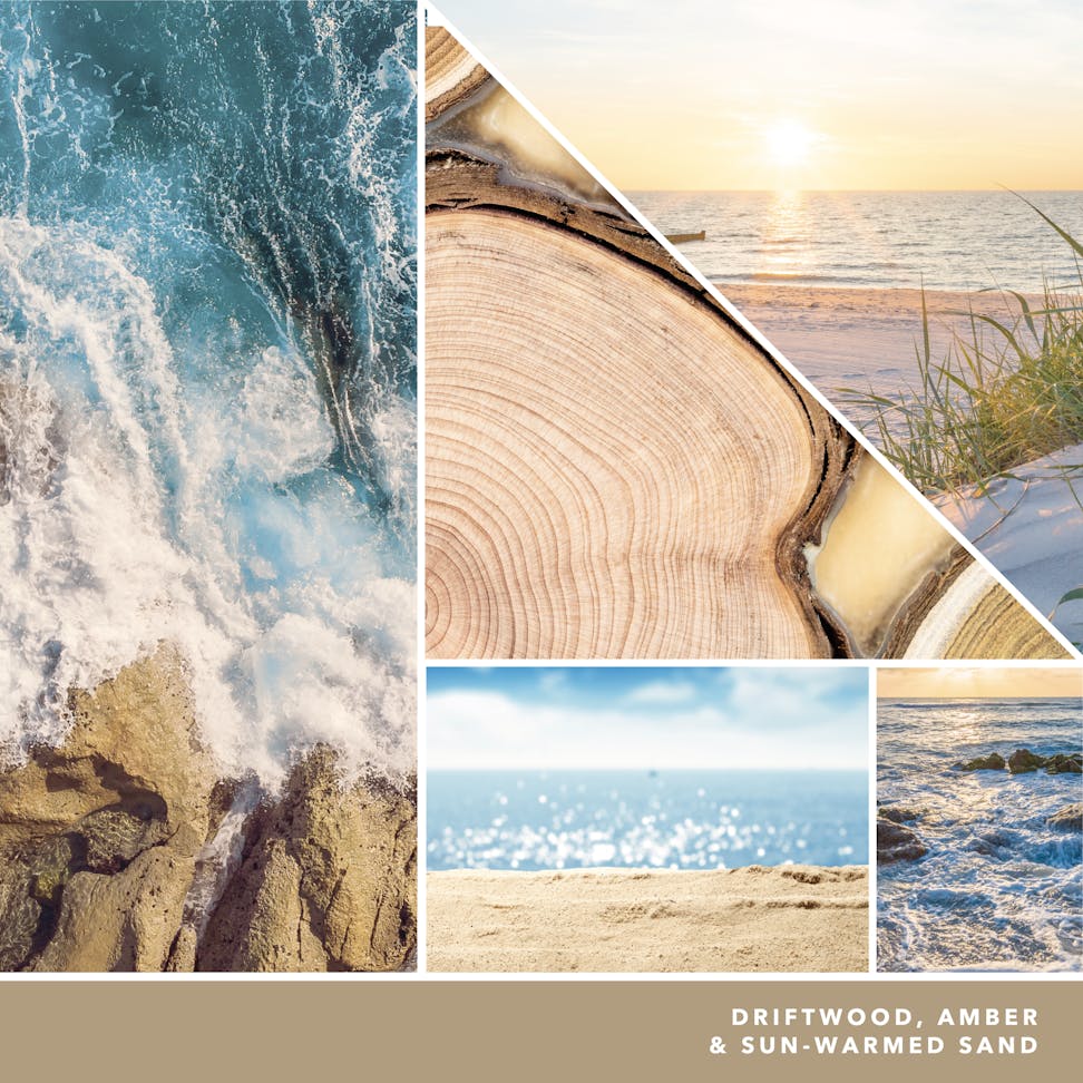 driftwood, amber and sun warmed sand text on photo collage with seaside landscapes