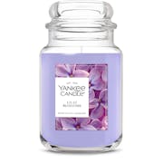 Lilac Blossoms