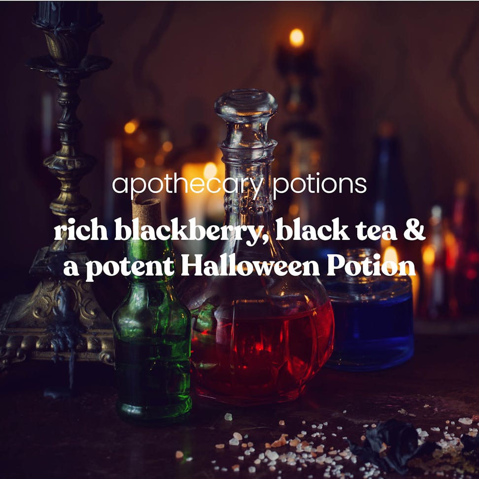 Glass potion bottle with red liquid for Halloween, apothecary decor, gothic black tea and blackberry theme