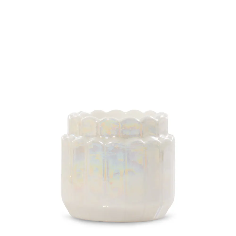 Lustra Shell Tea Light Candle Holder