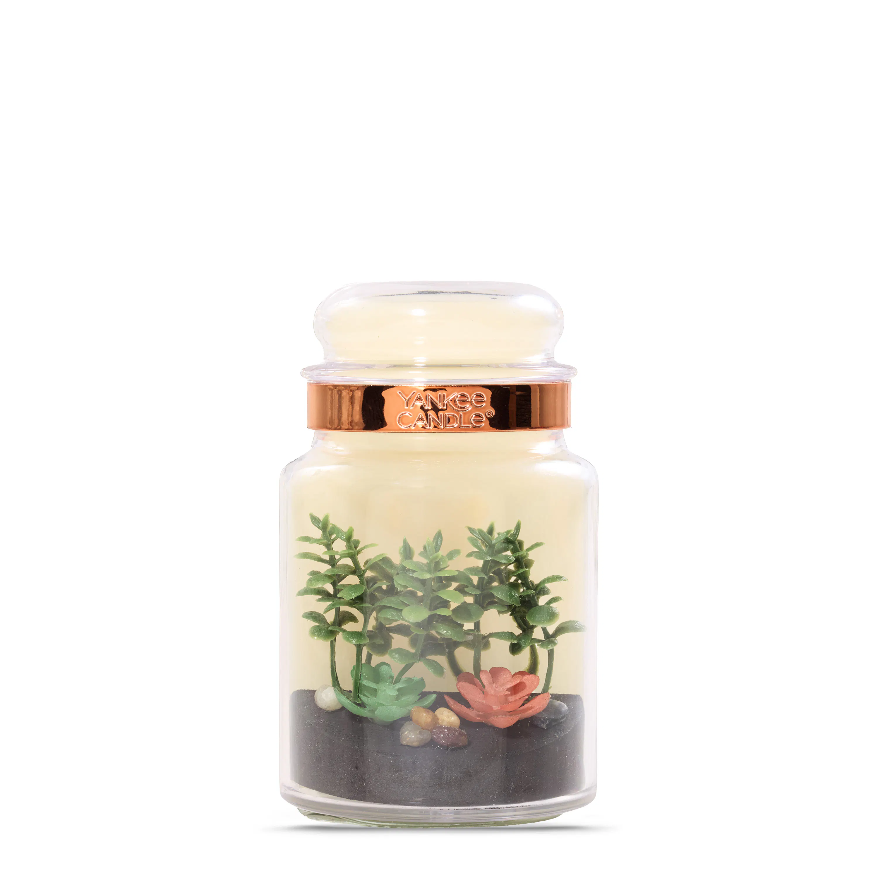 Apothecary Jar Terrarium ScentPlug® Diffuser