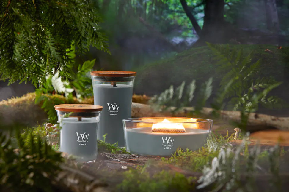 WoodWick Vapour Trails Collection Terra Haze Medium Hourglass Candle, Terra Haze Large Hourglass Candle, and Terra Haze Ellipse Candle surrounded by leaves, mushrooms, and tree branches in a forest setting
